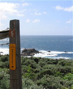 marked turnout #5 at Garrapata State Park