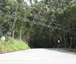 Highway 1 at Palo Colorado Rd