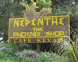 Highway 1 at Nepenthe and Hawthorne vicinity