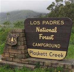 Big Sur camping: Plaskett Creek Campground