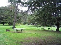 Plaskett Creek Campground