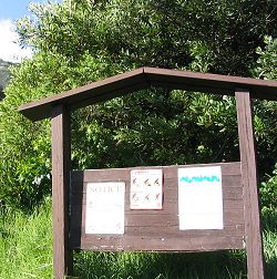 Highway 1 at Buckeye Trailhead