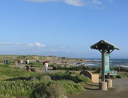 Point Piedras Blancas North Vista Point