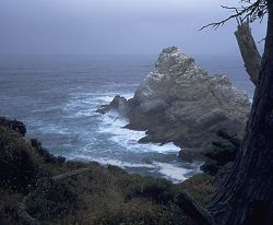 Coastal scene, Point Lobos State Reserve