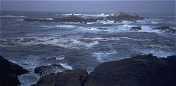 Coastal scene, Point Lobos State Reserve