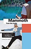 Mammoth from the Inside