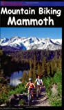 Mountain Biking Mammoth