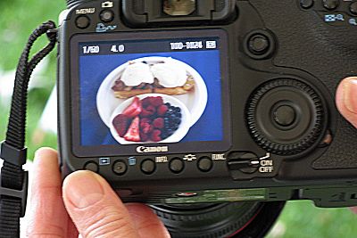 photo of photo of BeakFest