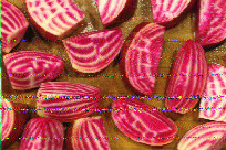 Shortwave Radiogram image