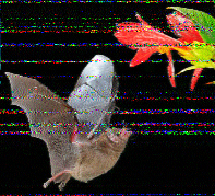 Shortwave Radiogram image