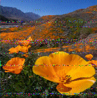 Shortwave Radiogram image