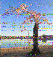 Shortwave Radiogram image