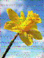 Shortwave Radiogram image