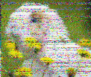 Shortwave Radiogram image