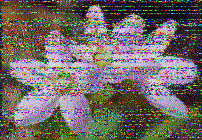 Shortwave Radiogram image