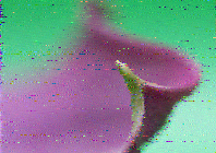 Shortwave Radiogram image