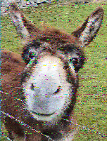 Shortwave Radiogram image