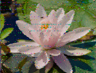 Shortwave Radiogram image