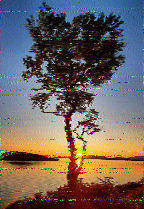 Shortwave Radiogram image