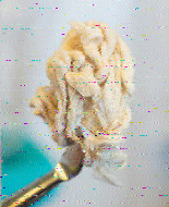 Shortwave Radiogram image