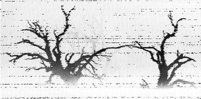 Shortwave Radiogram image