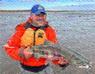 Shortwave Radiogram image