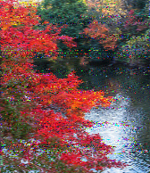 Shortwave Radiogram image