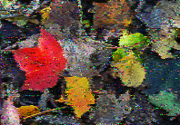 Shortwave Radiogram image