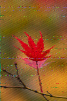 Shortwave Radiogram image