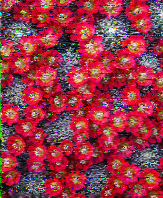 Shortwave Radiogram image