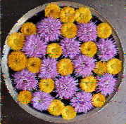 Shortwave Radiogram image