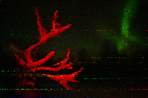 Shortwave Radiogram image