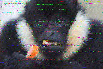 Shortwave Radiogram image