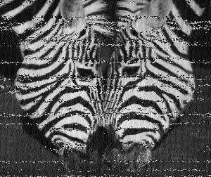 Shortwave Radiogram image