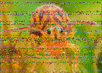Shortwave Radiogram image
