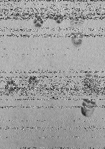 Shortwave Radiogram image