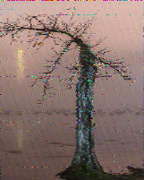 Shortwave Radiogram image