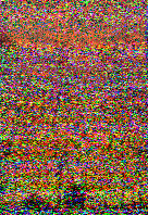 Shortwave Radiogram image