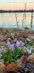 Shortwave Radiogram image