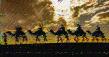 Shortwave Radiogram image
