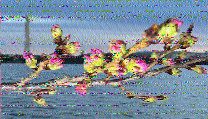 Shortwave Radiogram image