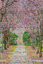 Shortwave Radiogram image