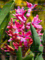 Shortwave Radiogram image