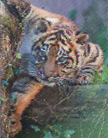 Shortwave Radiogram image