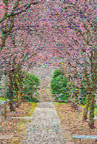 Shortwave Radiogram image