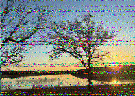 Shortwave Radiogram image