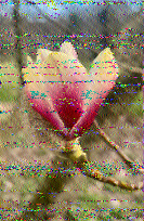Shortwave Radiogram image