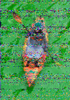 Shortwave Radiogram image