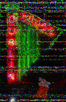 Shortwave Radiogram image