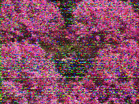 Shortwave Radiogram image